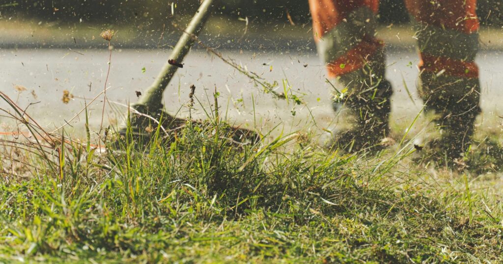 Ultimate Guide To Lawn Care Dallas Fort Worth