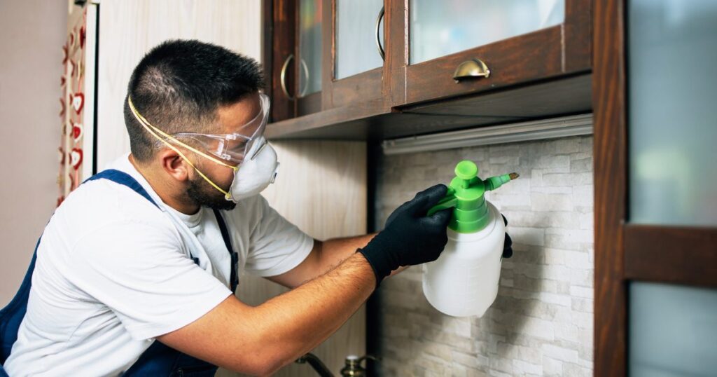 affordable pest control dallas