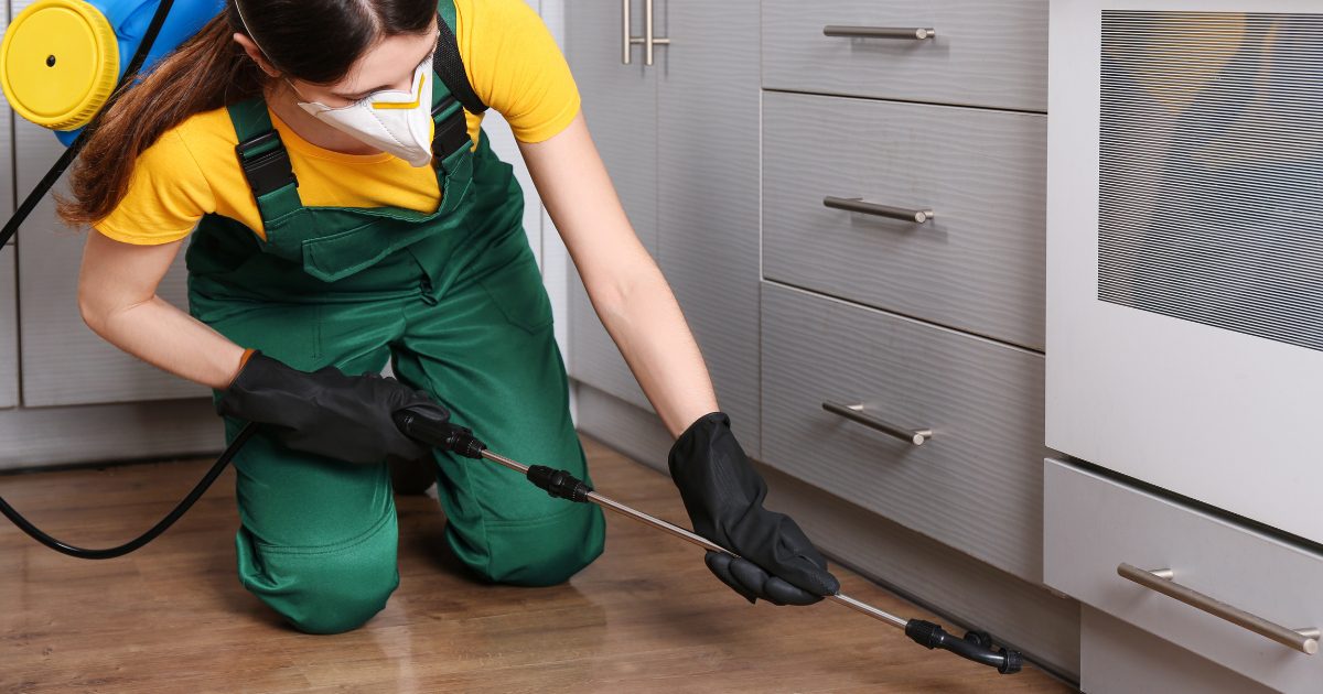 ant pest control dallas