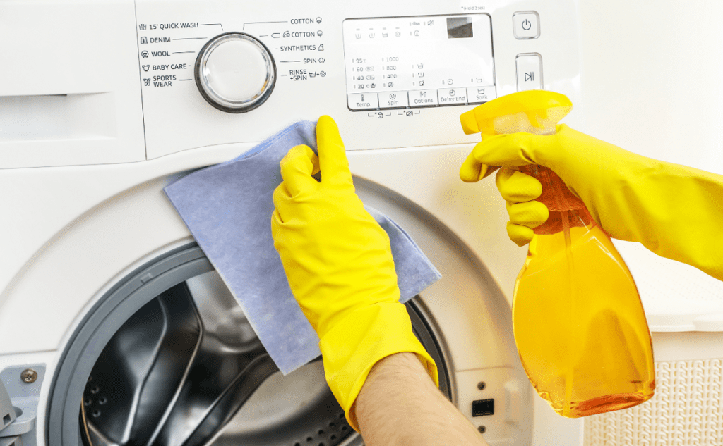 appliance cleaning service