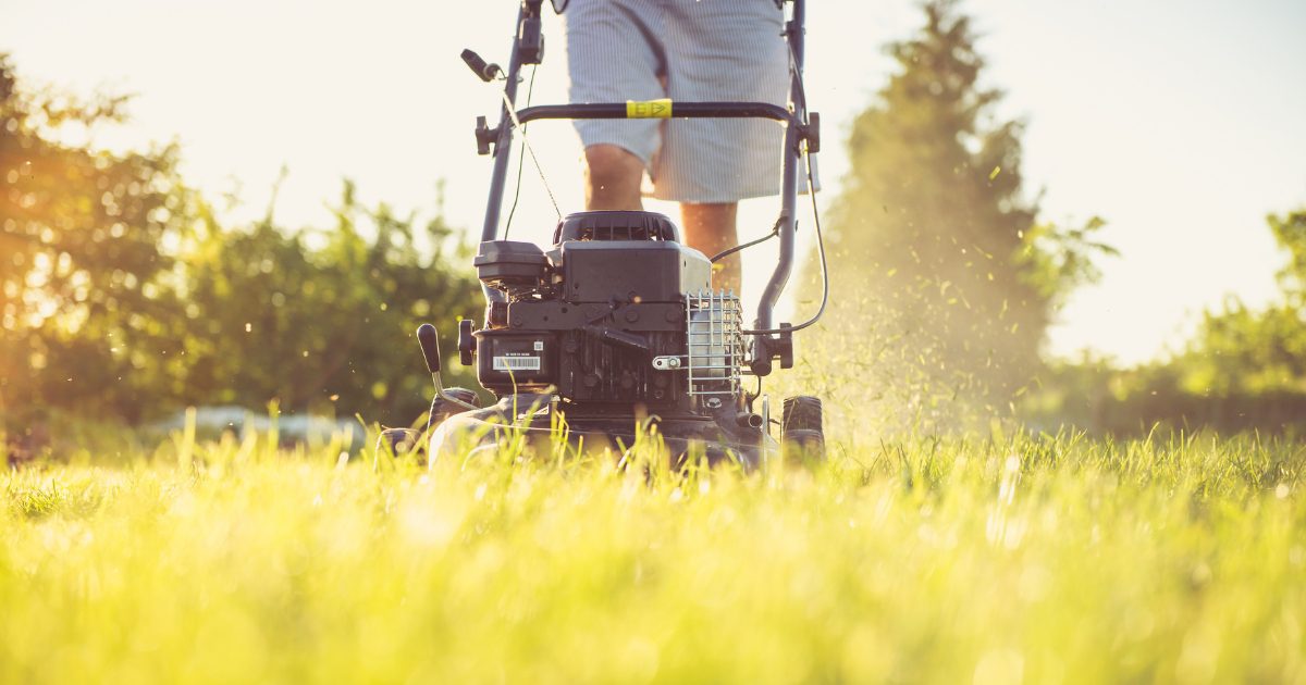 average price of lawn care service dallas tx