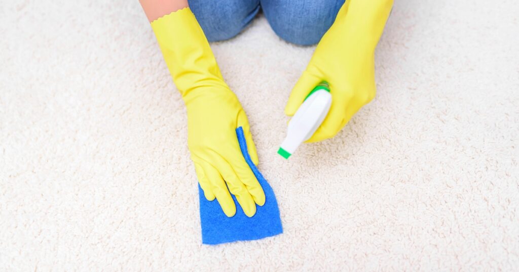 best homemade carpet cleaner for tough stains dog poop