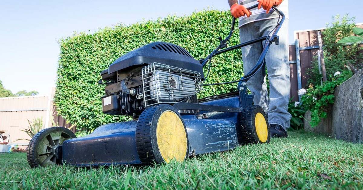 best professional lawn care company in dallas area