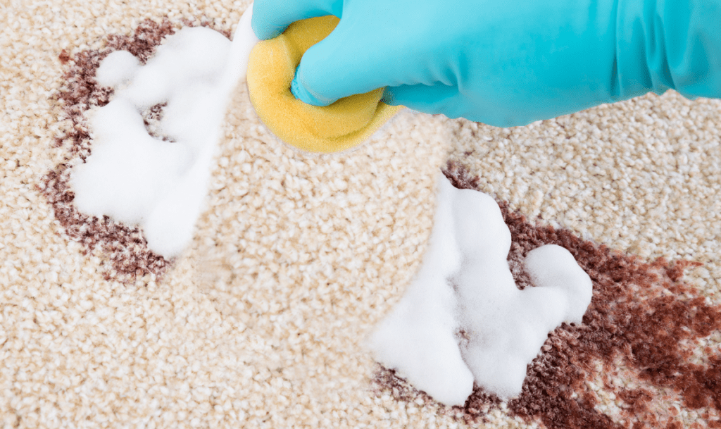 can i shampoo my carpet once a month