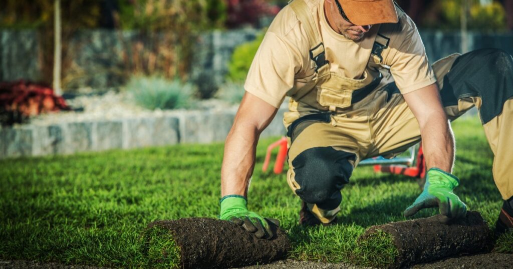 dallas lawn care and landscaping