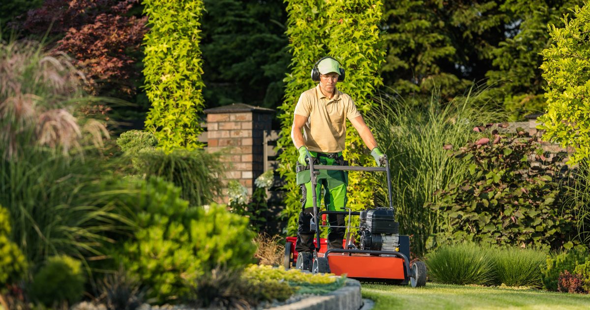 dallas lawn care and landscaping company