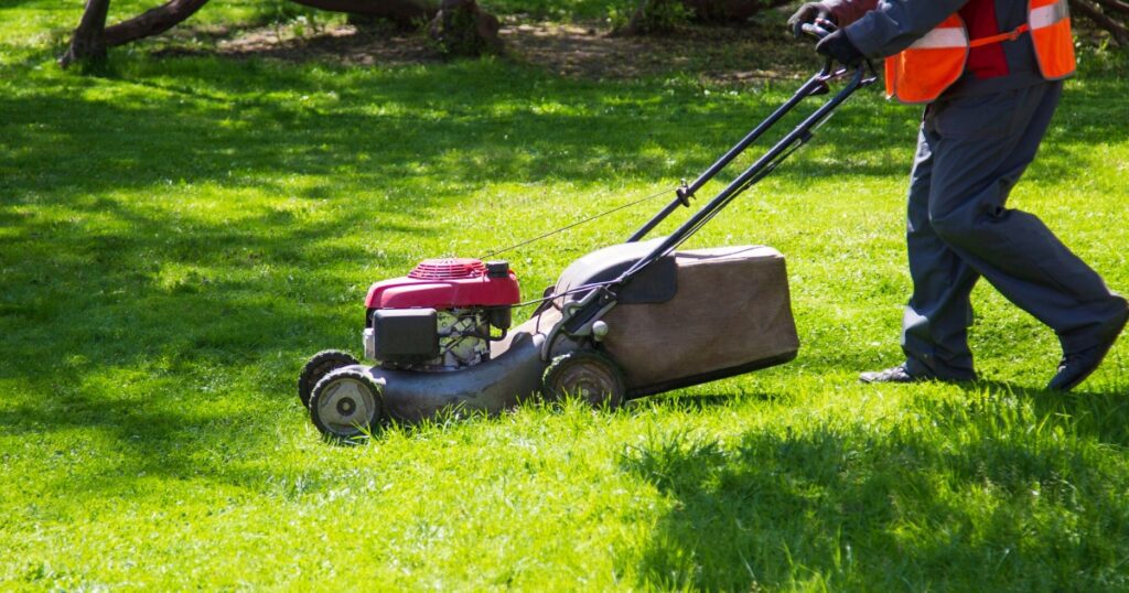 dallas lawn care cost