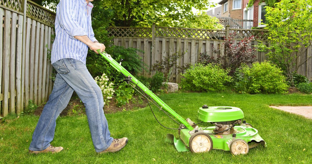 dallas lawn care services