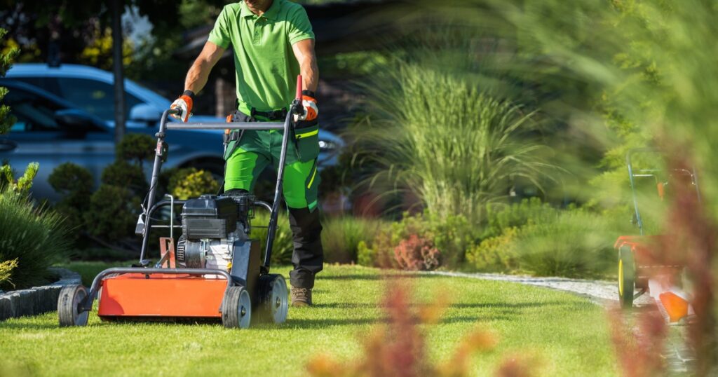 dallas organic lawn care