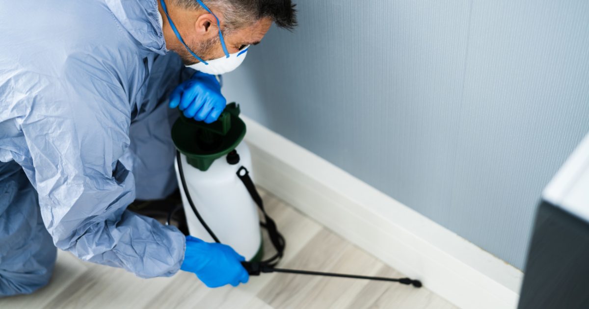 dallas pest control contractors