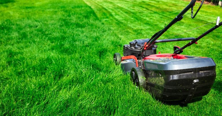 Dallas Texas Lawn Care Schedule: A Comprehensive Guide To Maintaining A ...