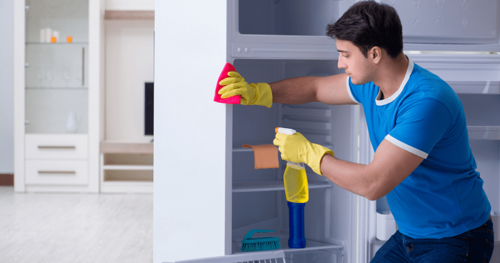 deep freezer cleaning services