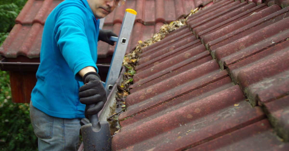 gutter cleaning dallas tx