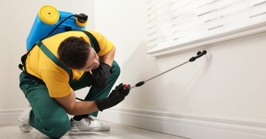 home pest control dallas