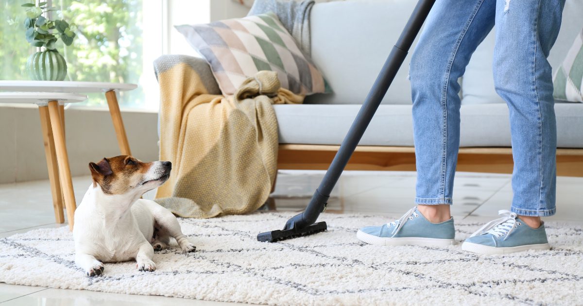 The Ultimate Guide to Carpet Cleaning How Often to Clean Carpet with