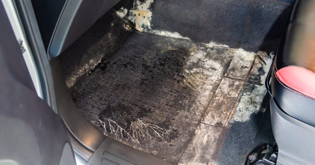 How to Clean Mold in Car Carpet: A Comprehensive Guide