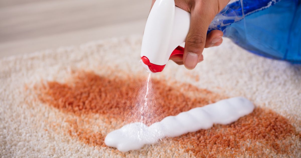 how-to-remove-stains-from-carpet