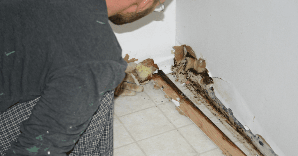 how to repair minor water damaged drywall