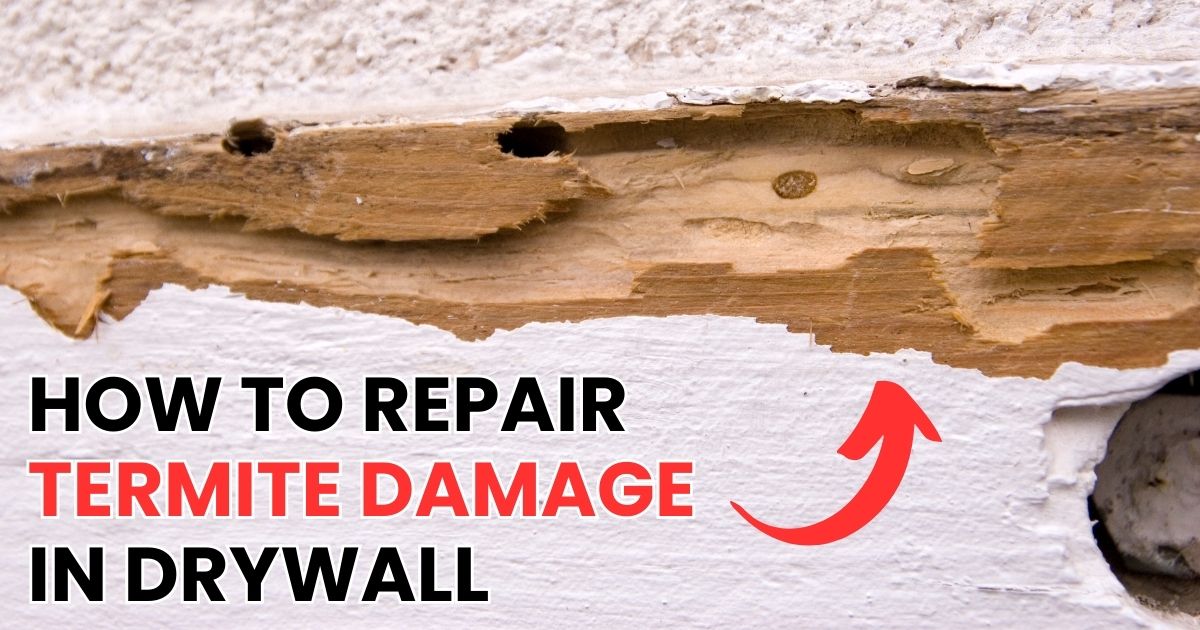 how to repair termite damage in drywall