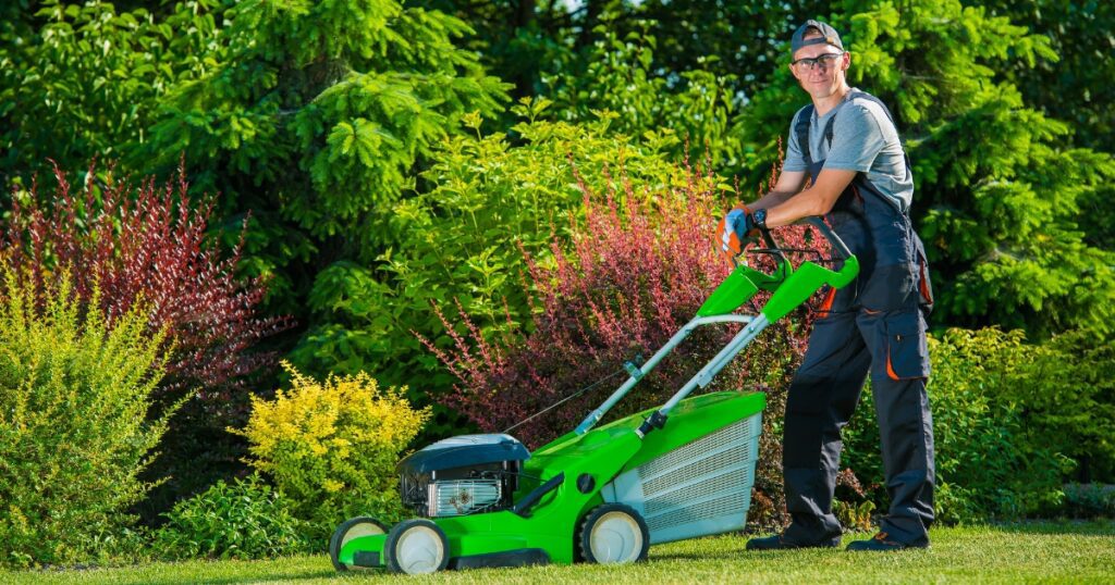 lawn care companies in dallas