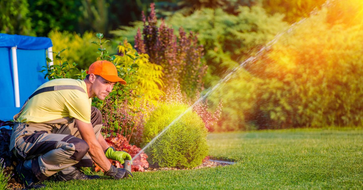 lawn care schedule dallas fort worth