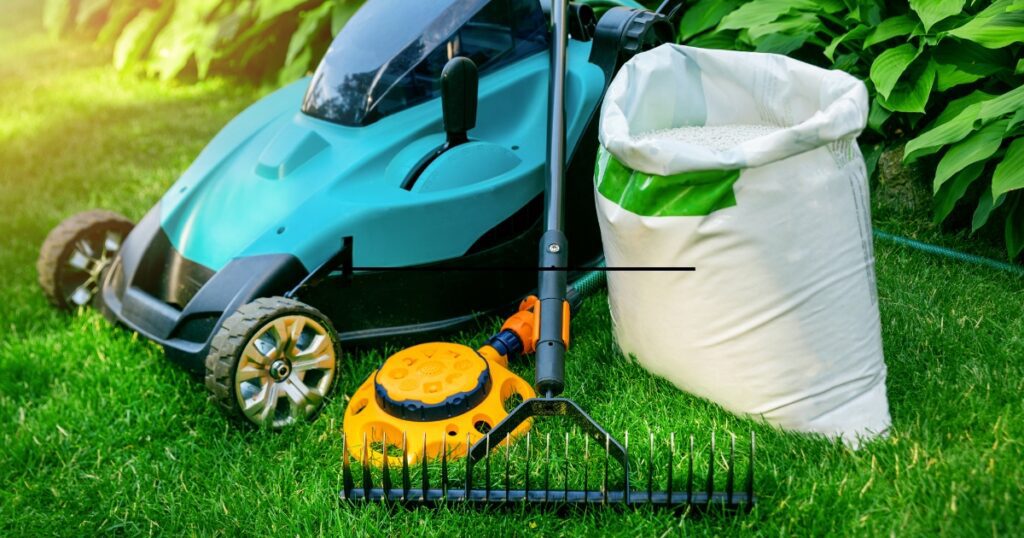 lawn care service dallas