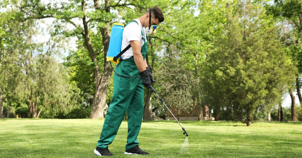 pest control lawn care dallas