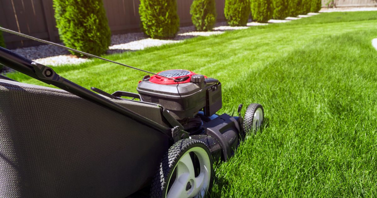 professional lawn care dallas