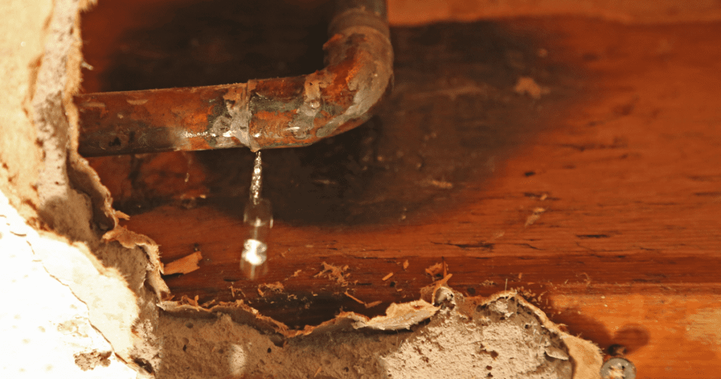 repair drywall water damage