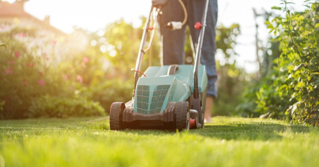 residential lawn care dallas tx