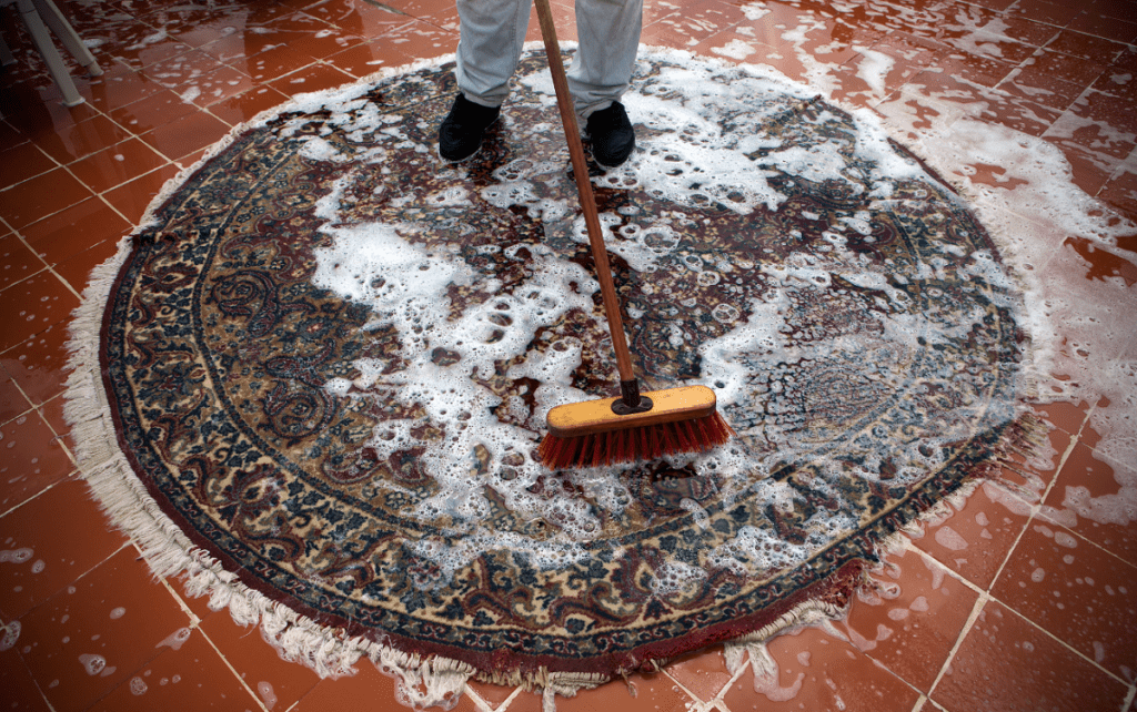 shampooed carpet now smells musty