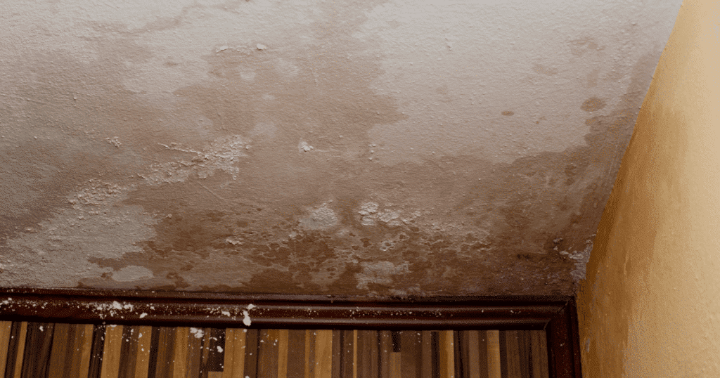 wet drywall repair