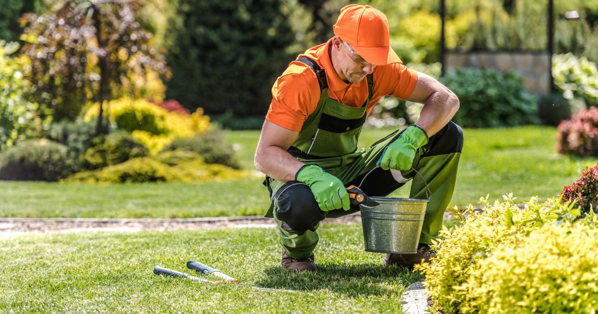 average cost for landscaping