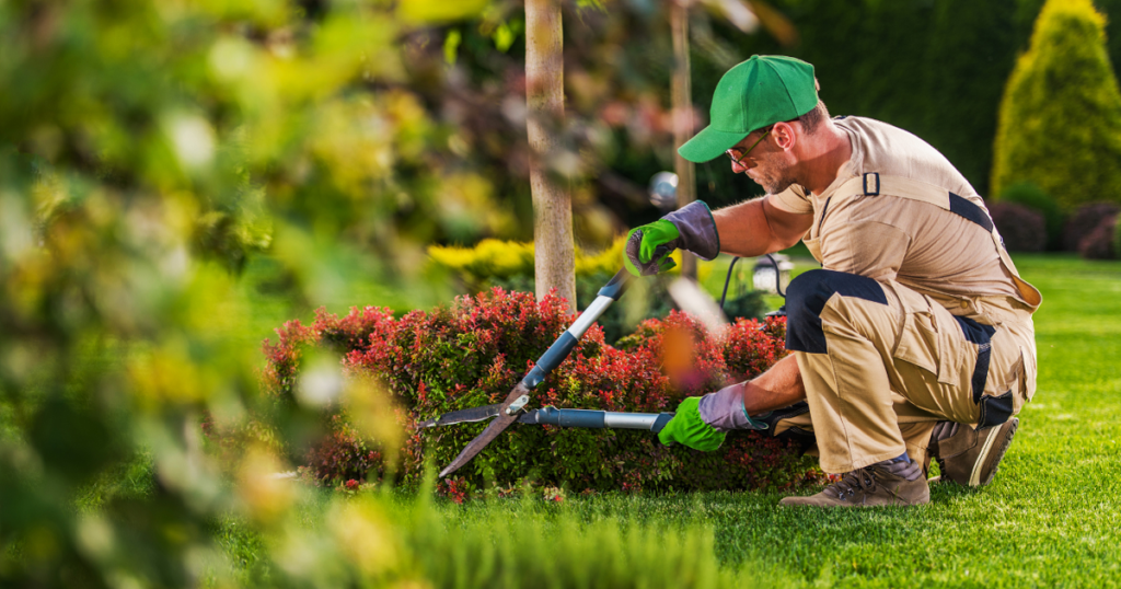 best landscaper dallas