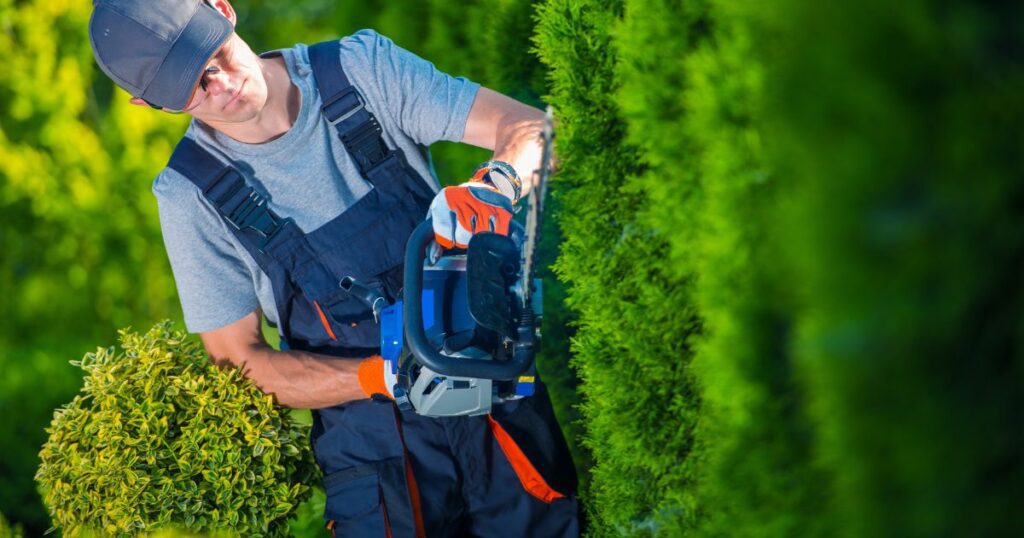 how much does it cost to get a landscaper