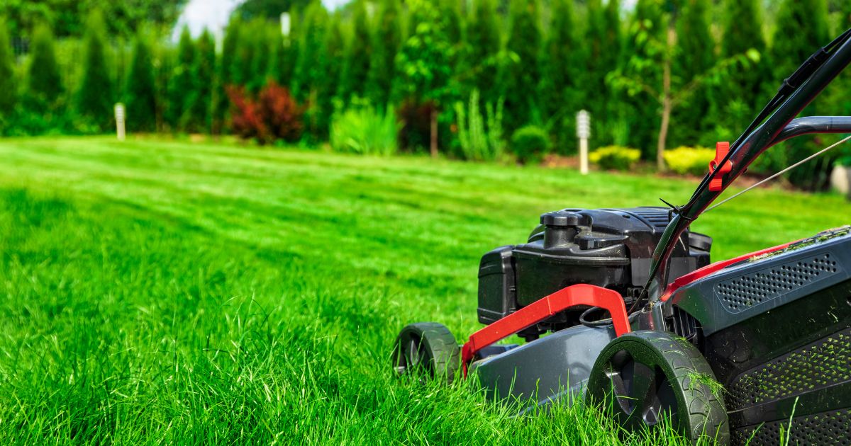 how much to hire landscaper