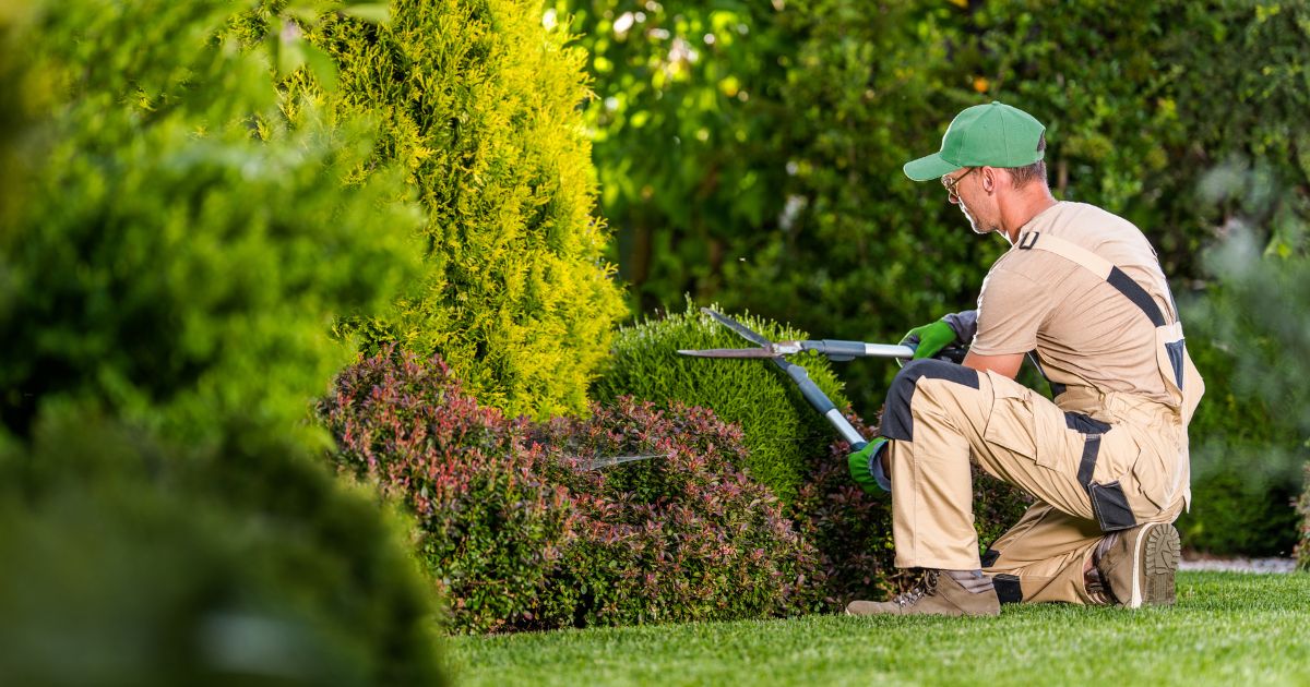 how much to pay landscaper per hour