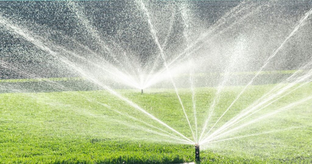 how often should i water my lawn with sprinkler system in texas