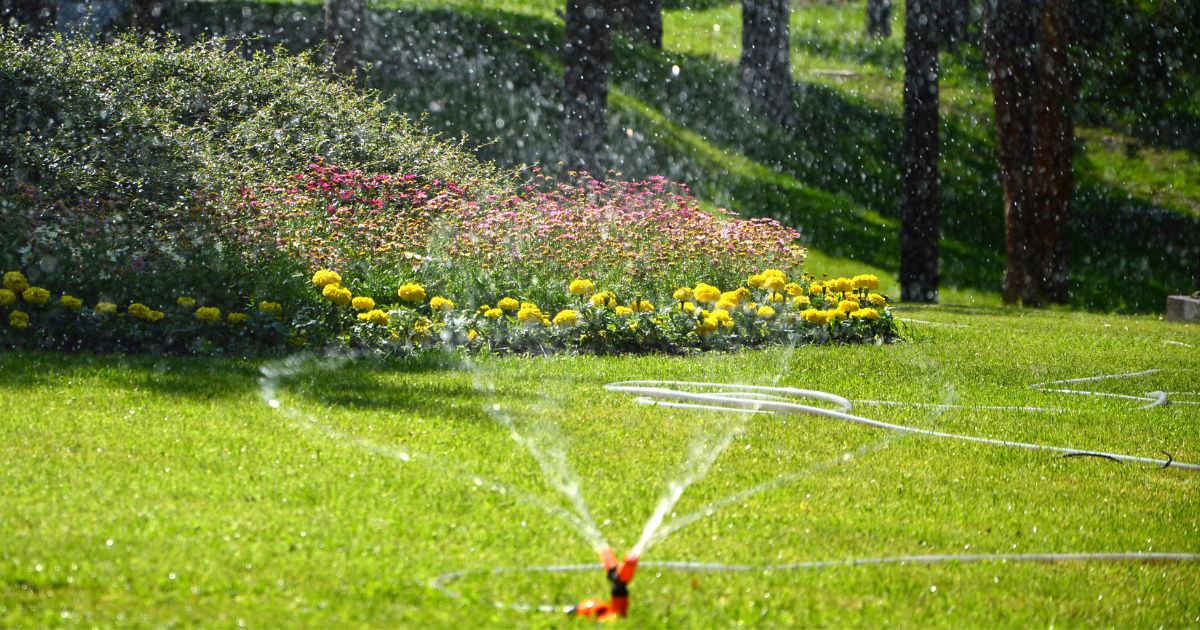 how often should i water my lawn with sprinkler system in texas
