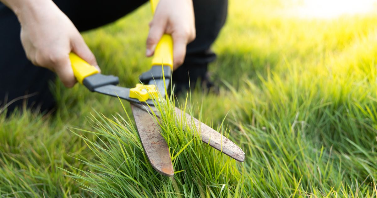 how to be a good landscaper