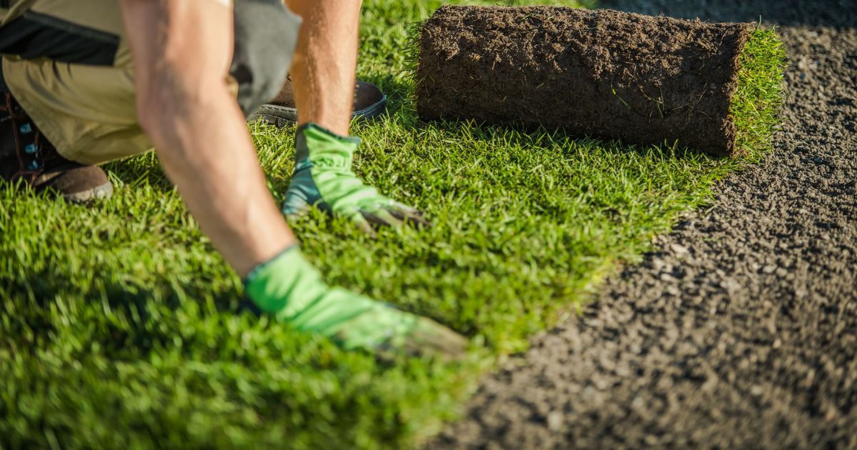 how to become a certified landscaper