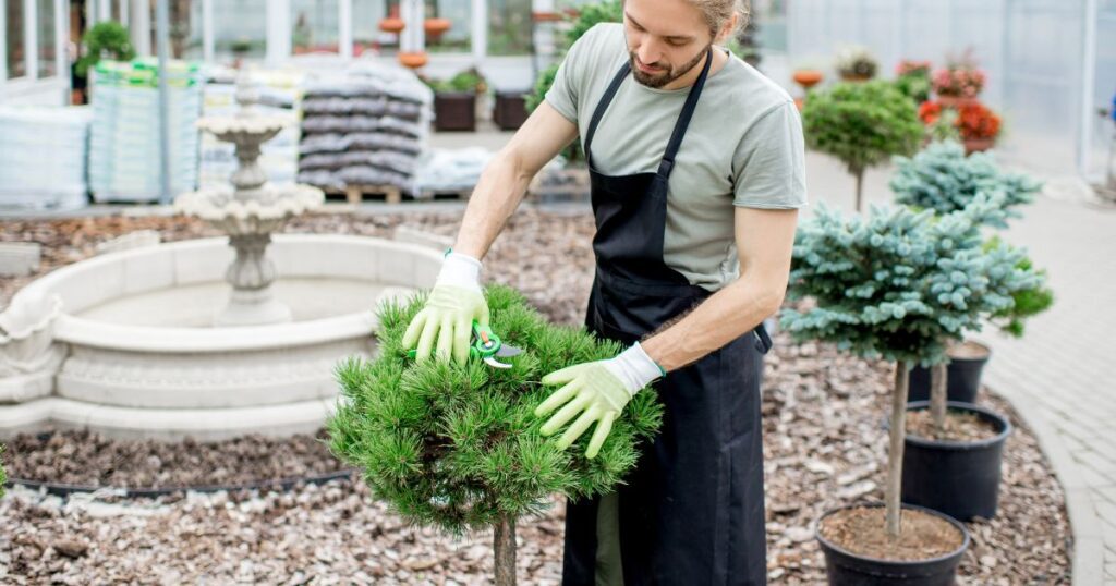 how to become a licensed landscaper