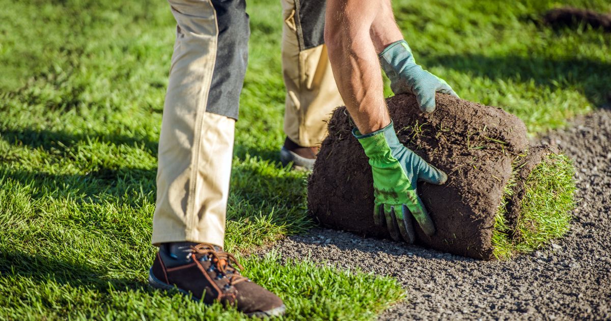 how to become a licensed landscaper in texas