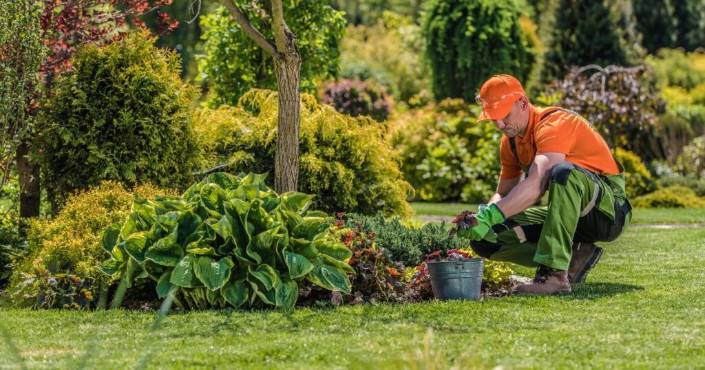 how to become landscaper