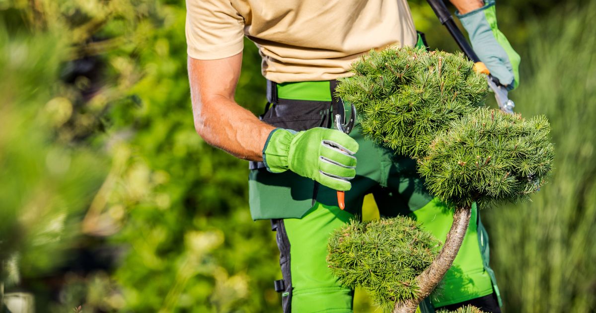 how to determine landscaper quality