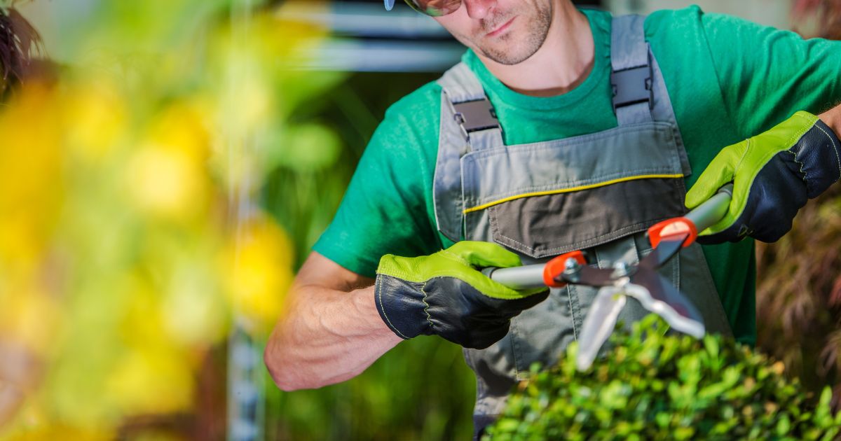 how to find a good landscaper