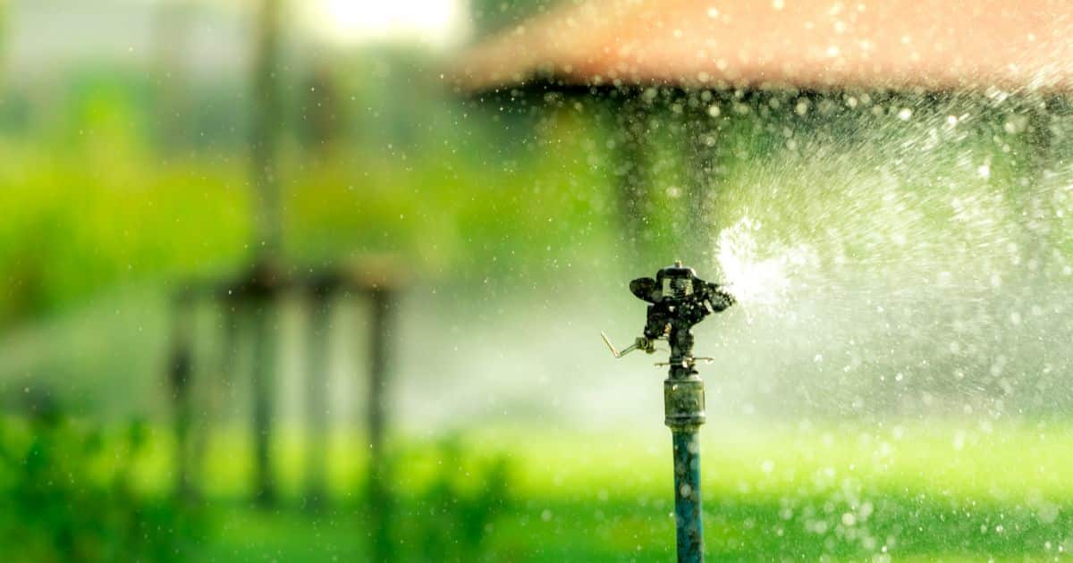 how to raise sprinkler heads