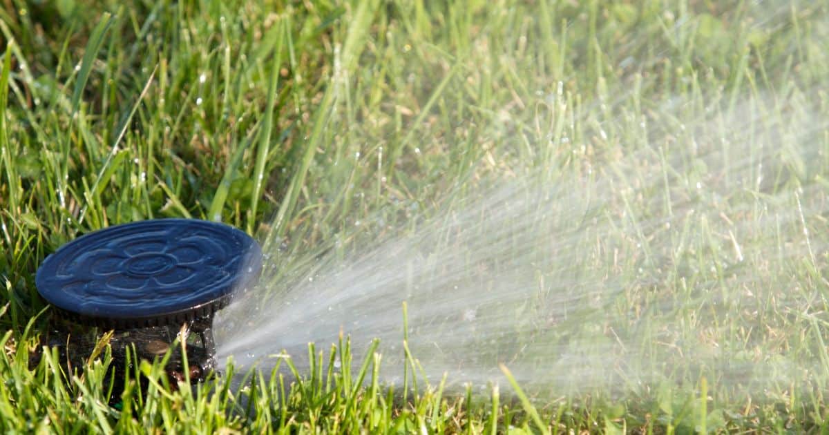 how to winterize a sprinkler system with backflow preventer
