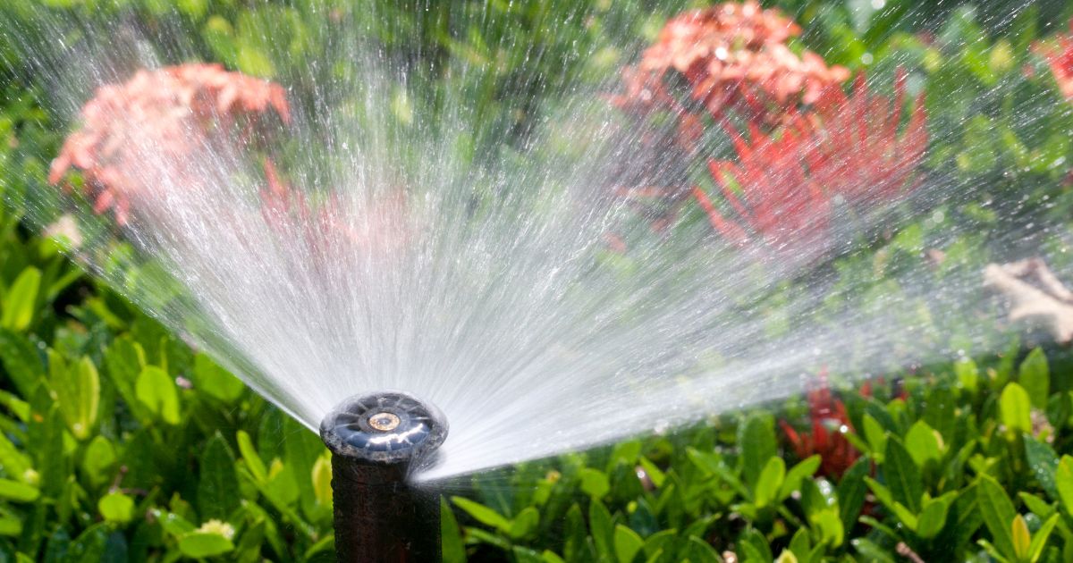 how to winterize a sprinkler system with backflow preventer