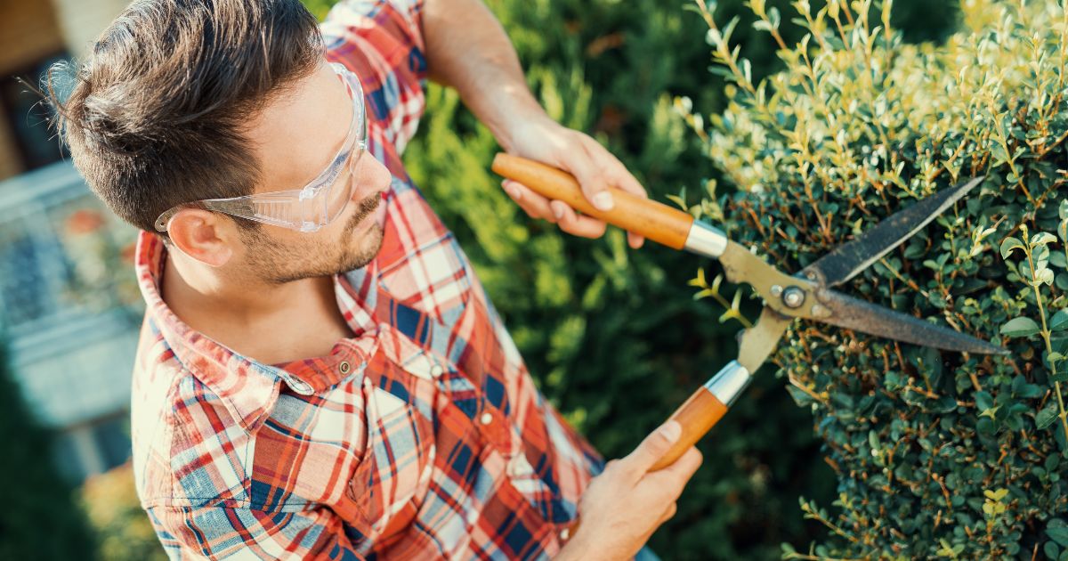 what do you need to be a landscaper